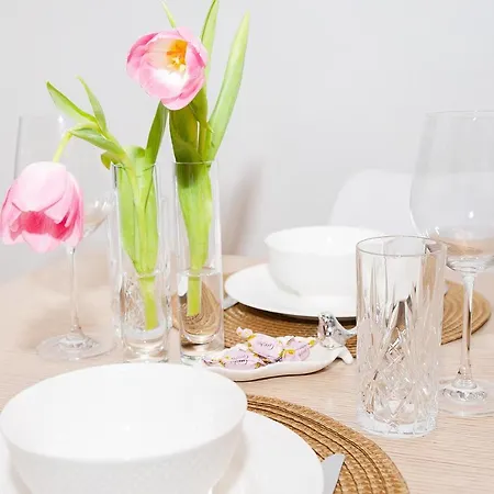 Kueueni 5b Guest * Tartu